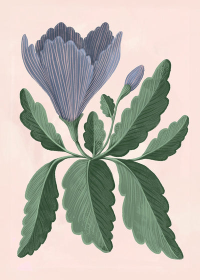 En lila blomma Poster