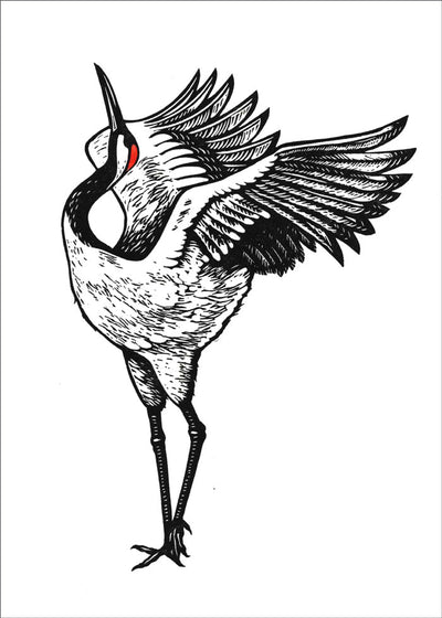 Crane Bird Poster