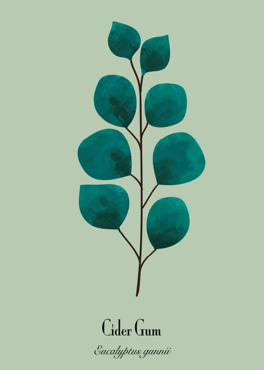 Eucalyptus Poster - Grön poster med växt av Irina Balog från houseofleaves.