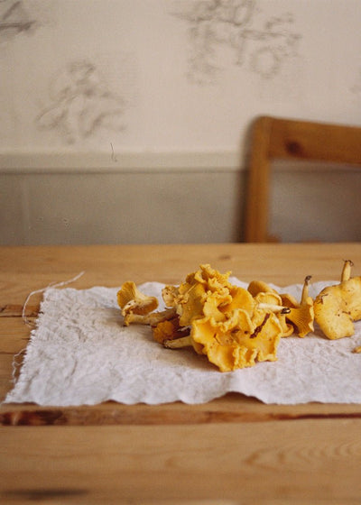 Foraged-Poster