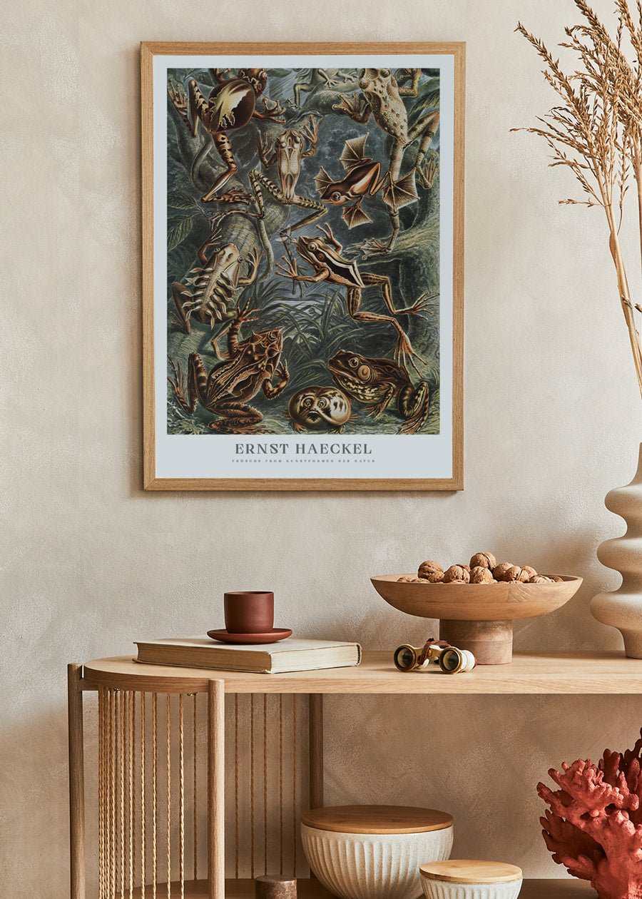 Frösche Poster - Ernst Haeckel
