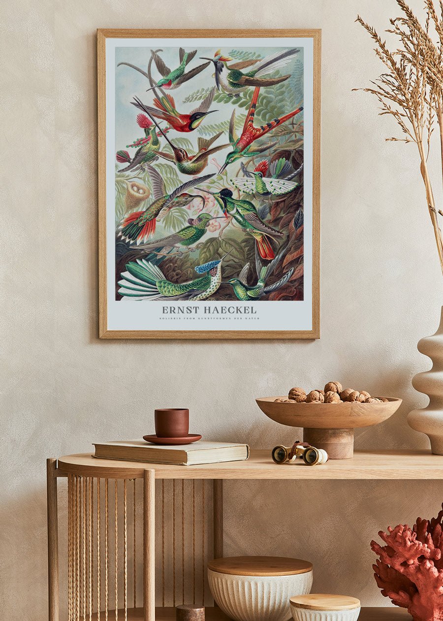 Kolibri-Poster - Ernst Haeckel