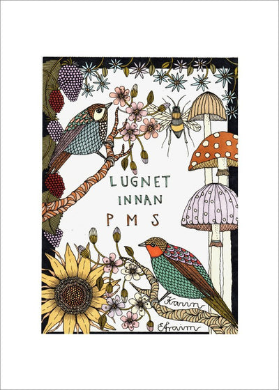 Lugnet Innan PMS Poster