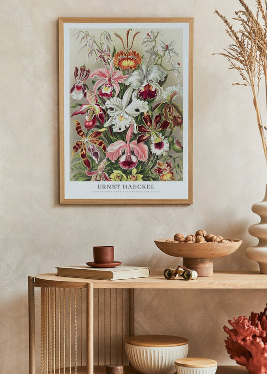 Orchids Poster - Ernst Haeckel