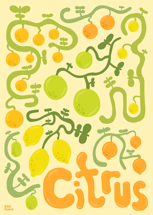 Citrus Poster