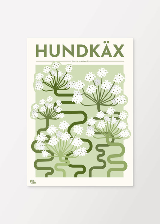 Hundekekse-Poster