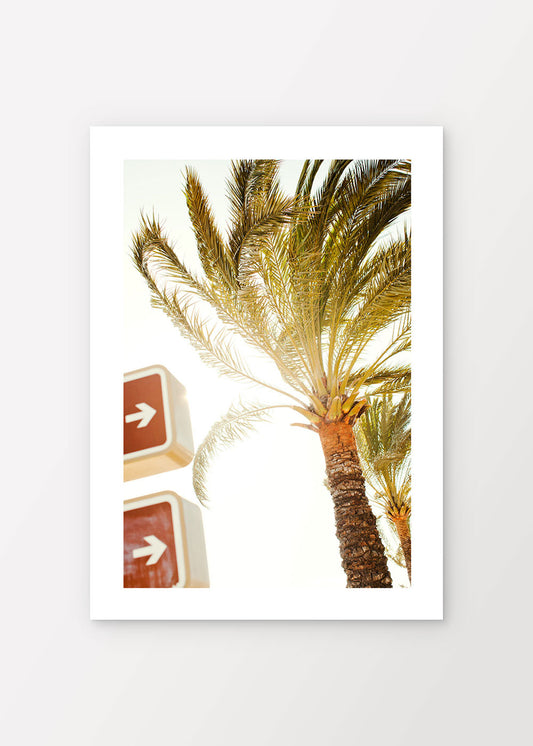 U kin B the Sun Poster