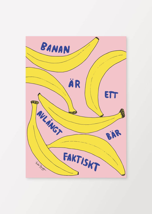 Avlångt Bär Rosa Poster - #shop_name