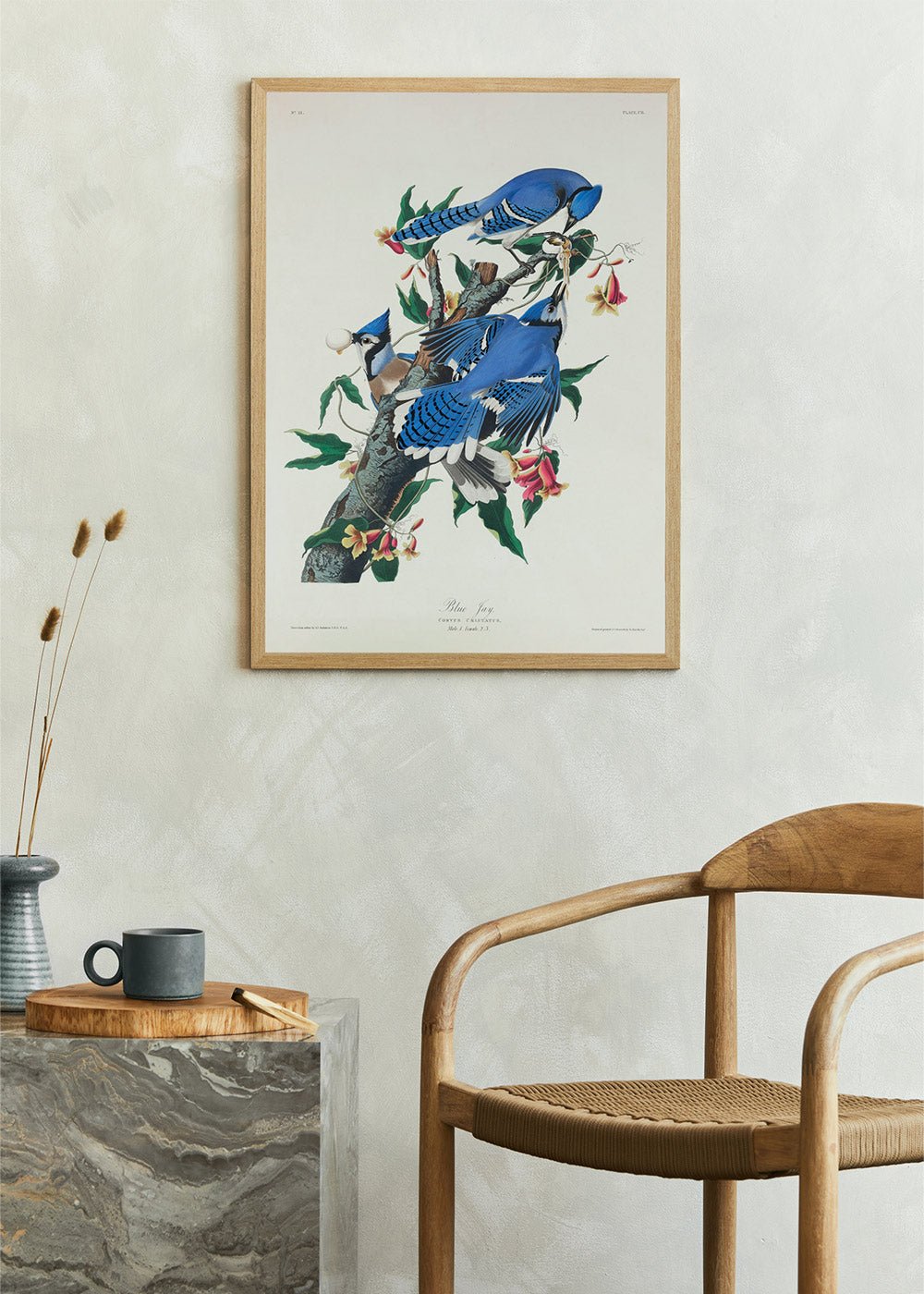 Blue Jay - John James Audubon Poster - #shop_name