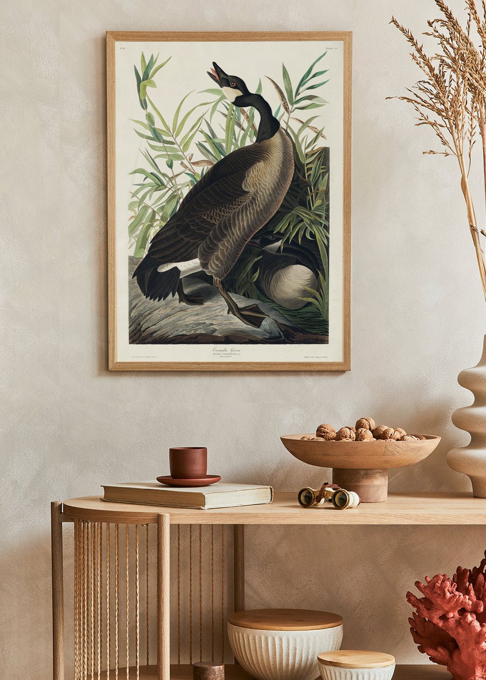 Canada Goose - John James Audubon Poster - #shop_name