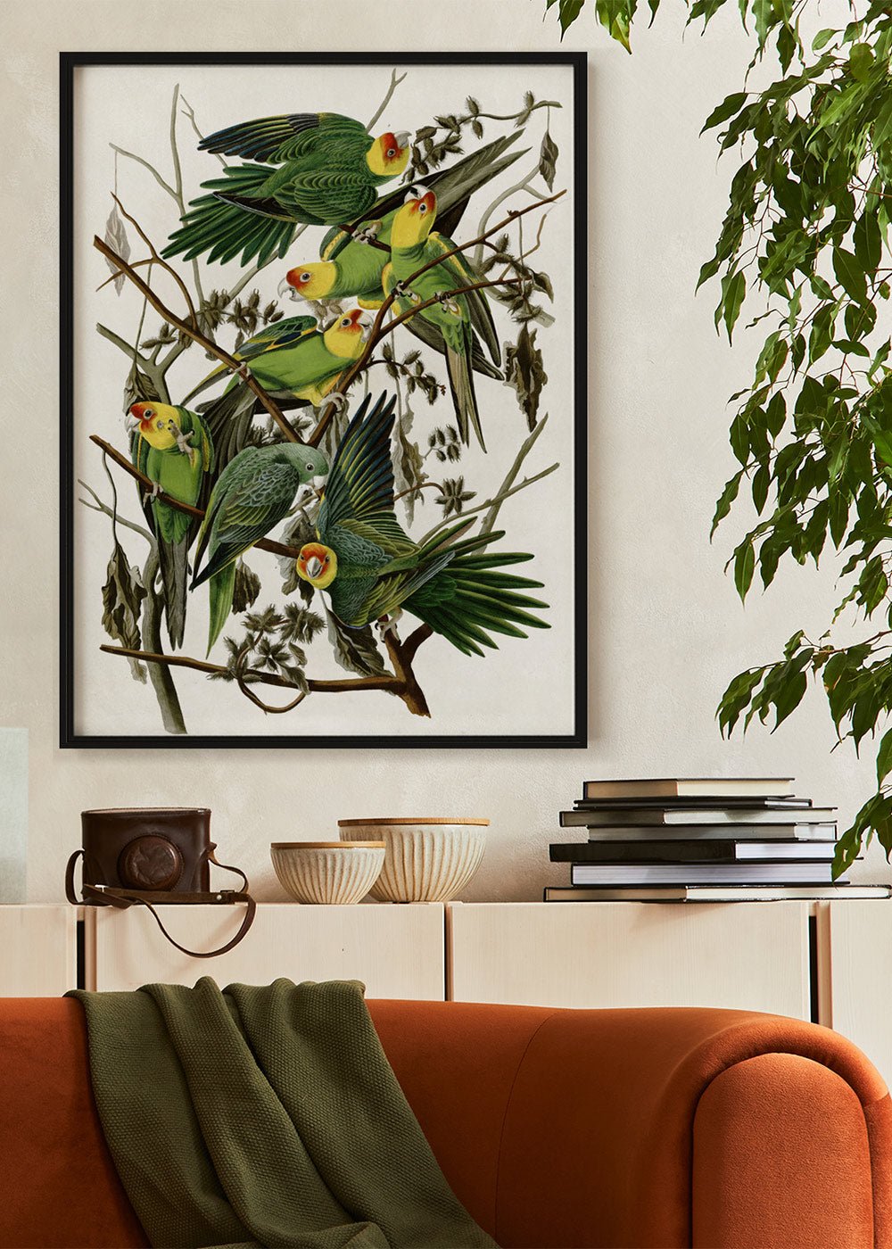 Carolina Parakeet - John James Audubon Poster - #shop_name