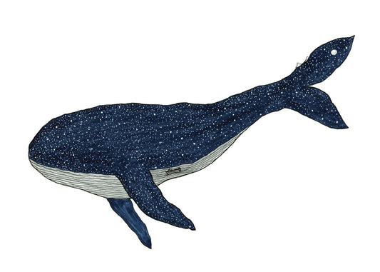 Drömval - shop_name