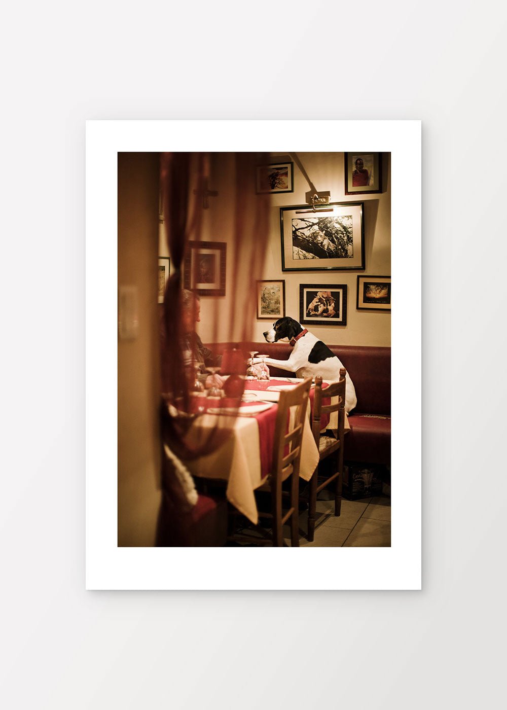 Lost you for a while Poster - shop_name