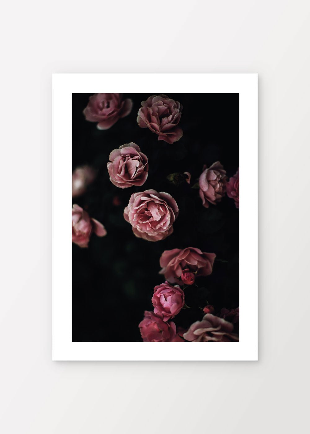 Rose Garden Poster - shop_name