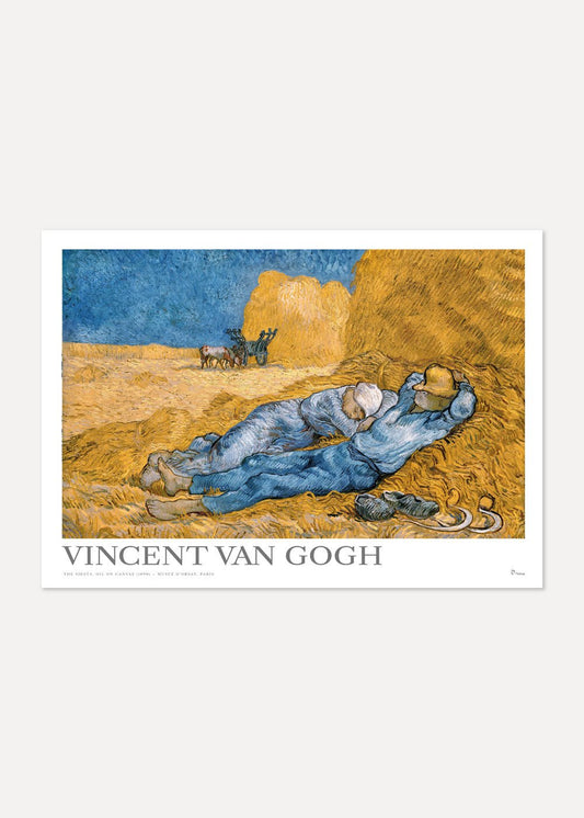 Siesta Poster - shop_name