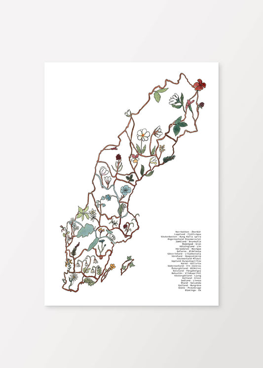 Poster Schweden und Landschaftsblumen