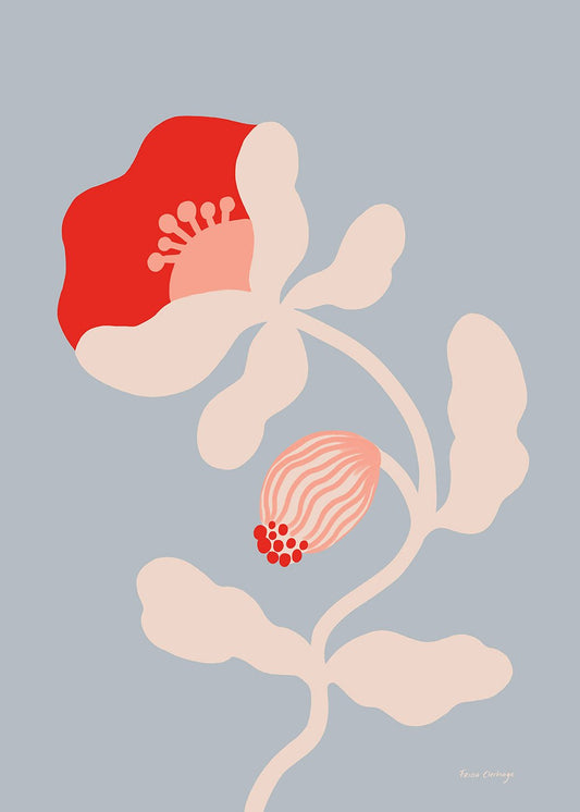 Vallmo Ljus Poster - shop_name