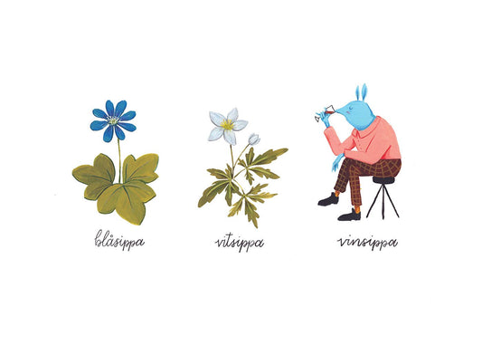 Vinsippa - shop_name