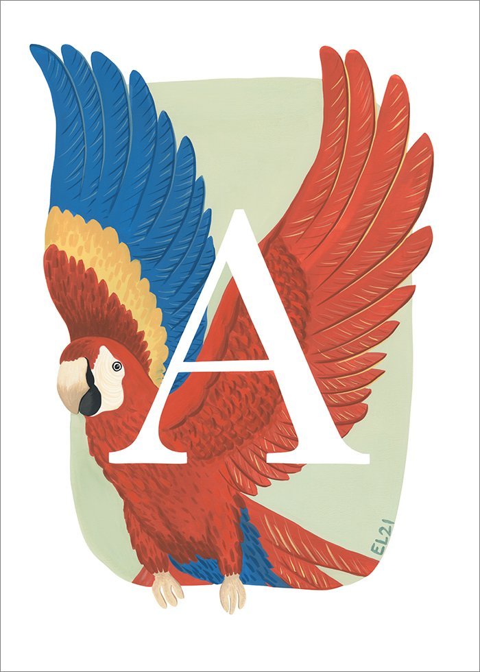 Papegoja poster med röda och blåa vingar som flaxar i kombination med bokstaven A