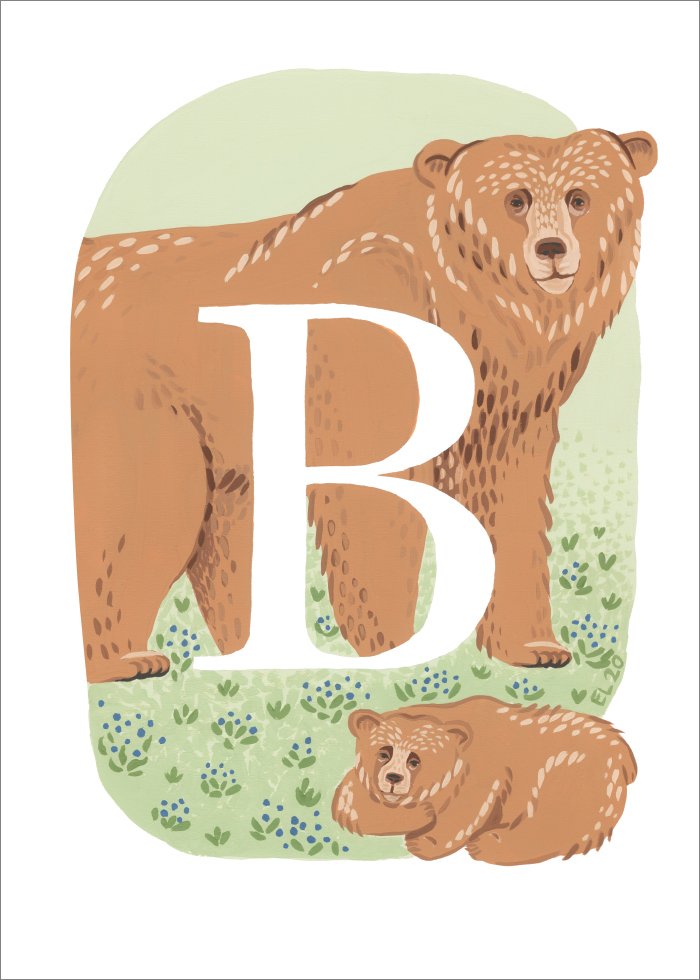 B - Brunbjörn Poster - SoPosters