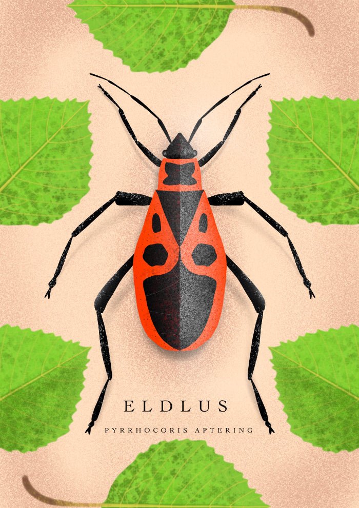 Eldlus Poster