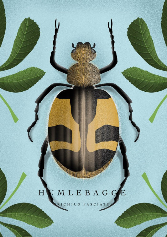Humlebagge Poster