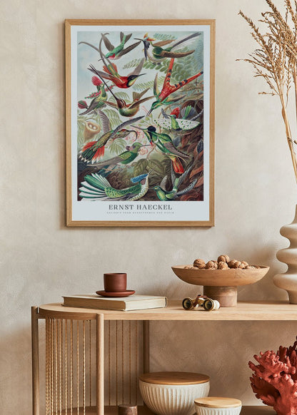 Hummingbirds Poster - Ernst Haeckel