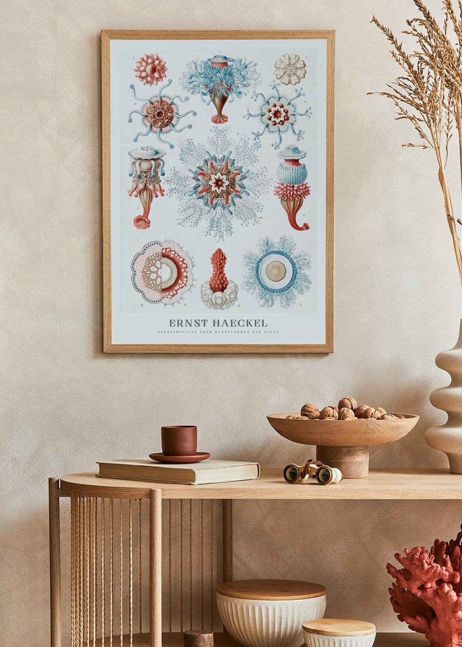 Jellyfish Poster - Ernst Haeckel