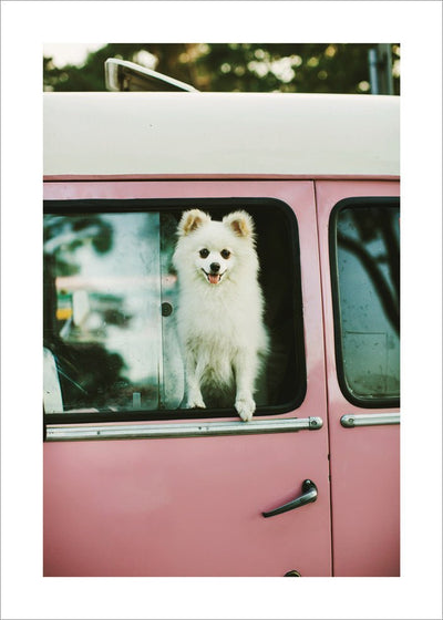 Nur ein Hundeposter