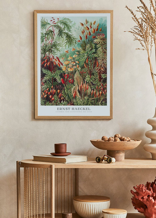 Mosses Poster - Ernst Haeckel
