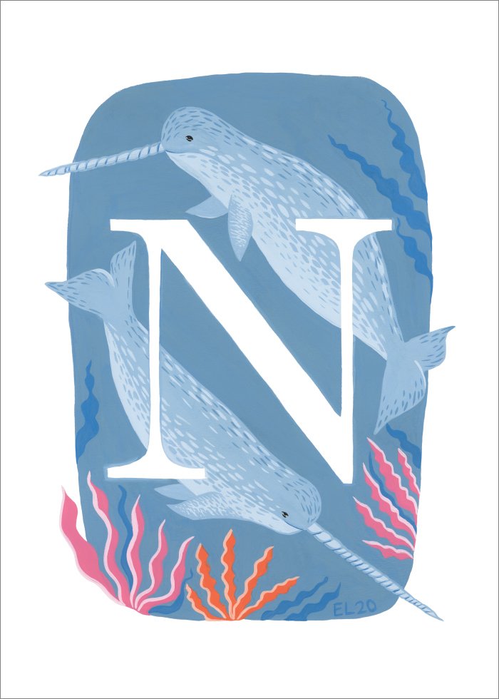 N - Narval Poster - SoPosters