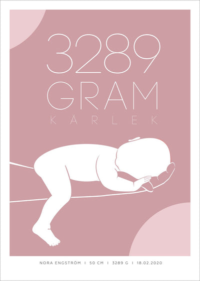 Personlig Födelsetavla - Poster