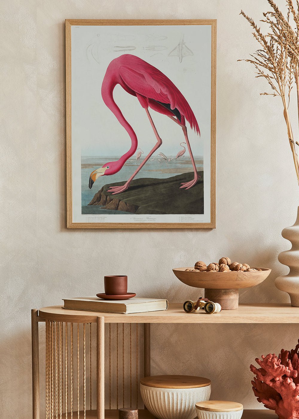 Pink Flamingo - John James Audubon Poster