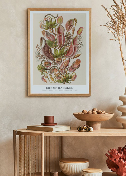 Pitcher Plants Poster - Ernst Haeckel