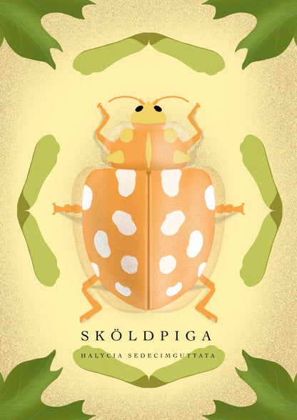 Sköldpiga Poster