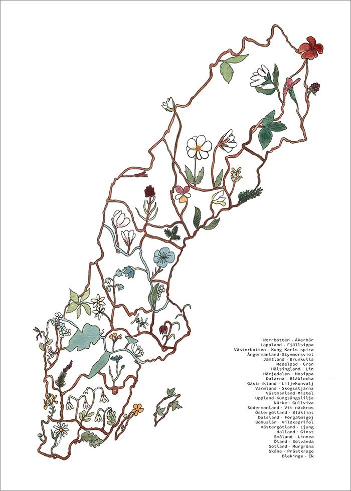 Sverige och Landskapsblommorna Poster - SoPosters