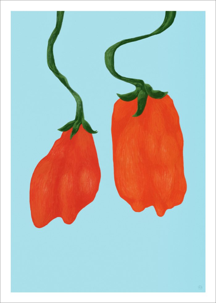 Tomatoes Poster - SoPosters