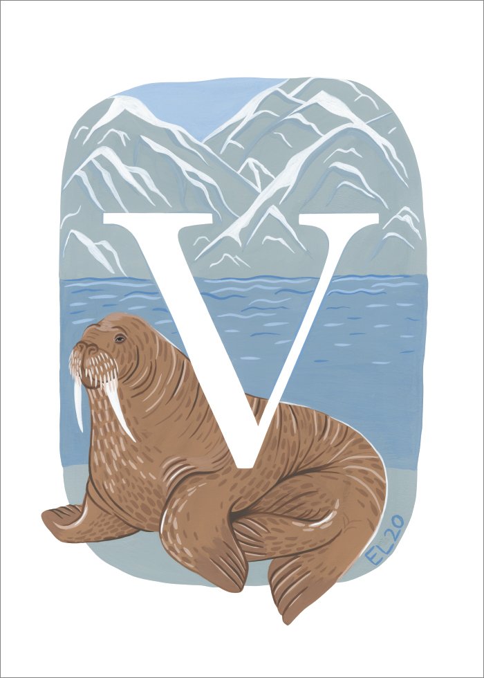 V - Valross Poster - SoPosters