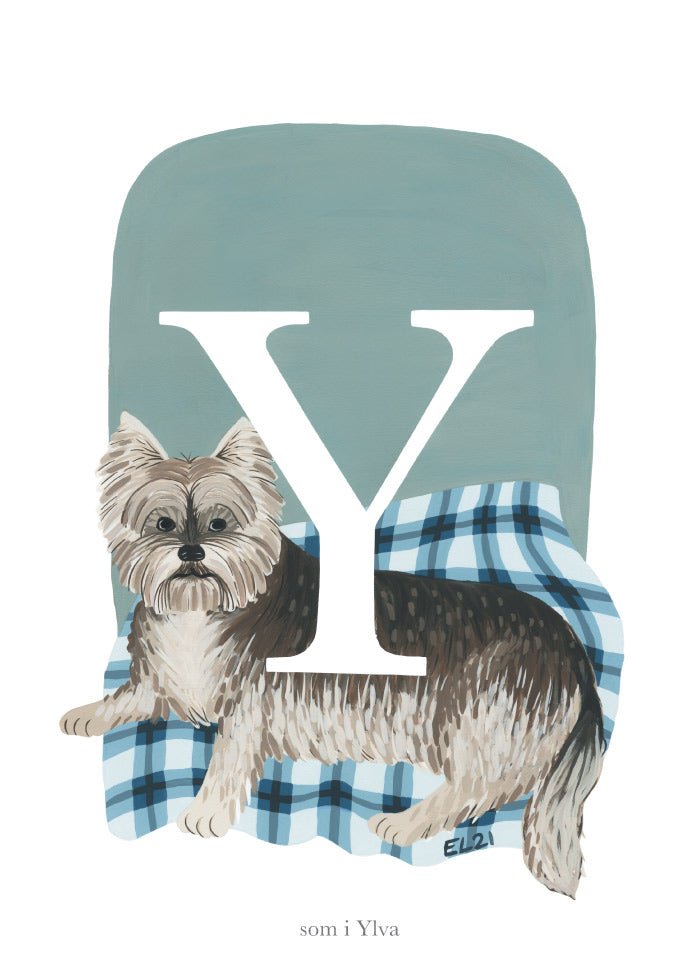 Y - Yorkshireterrier Poster